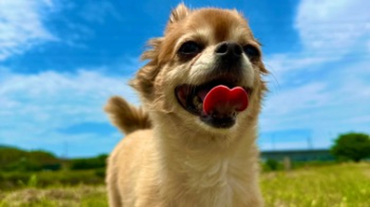 インスタライブ😍【活動報告2日目】