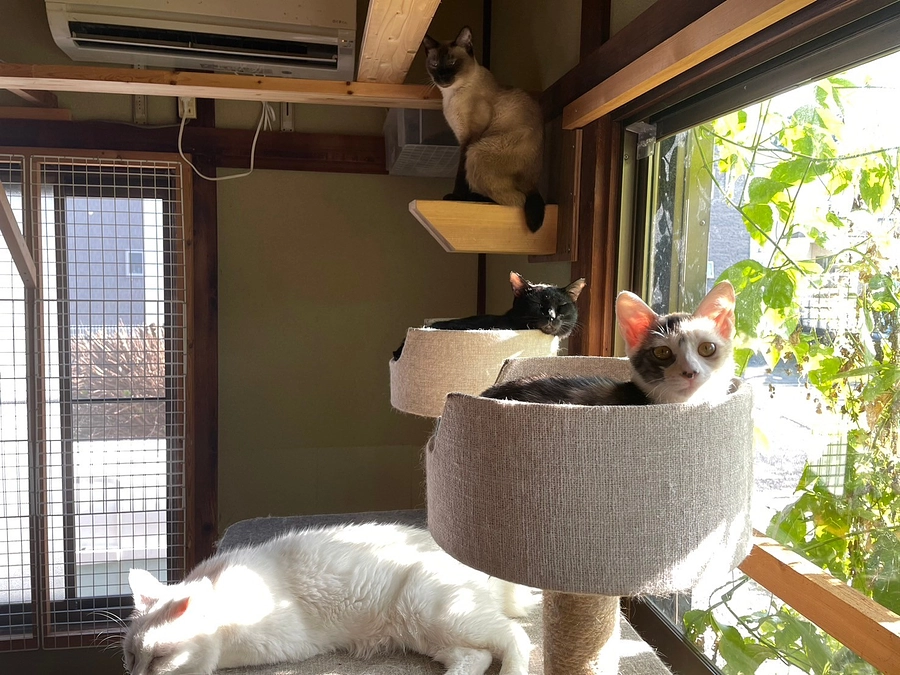 クラウドファンディング スタート