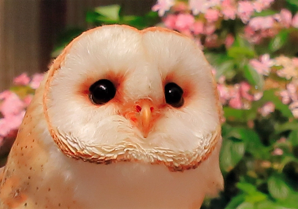 無事終了！　ありがとうございます！