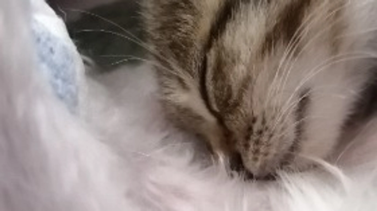 皆さまありがとうございました！