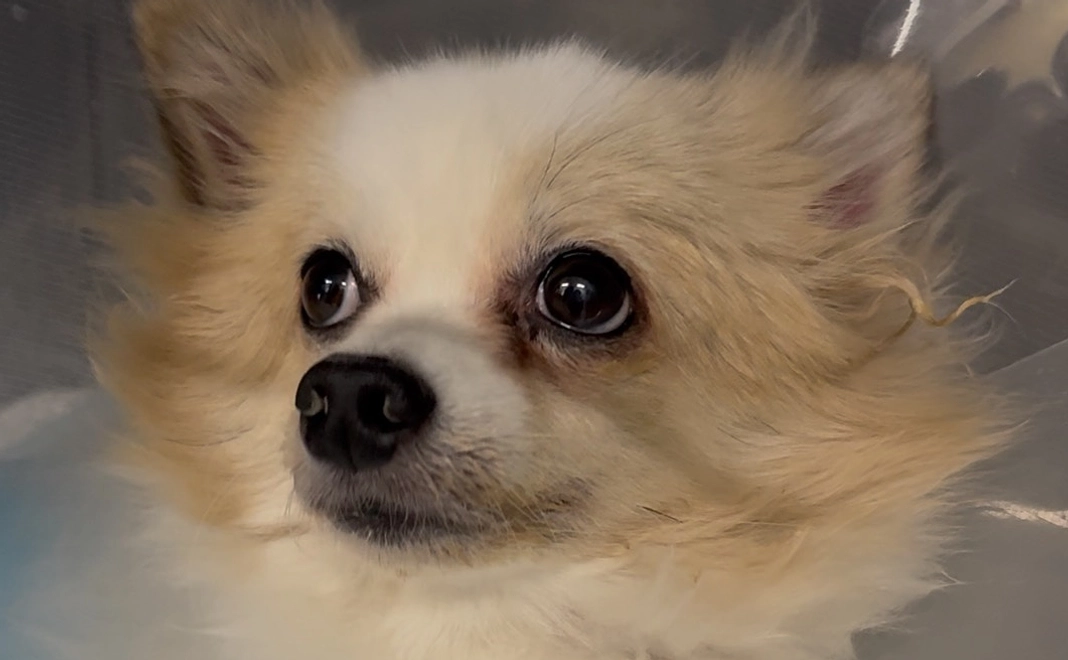 感謝のメール13