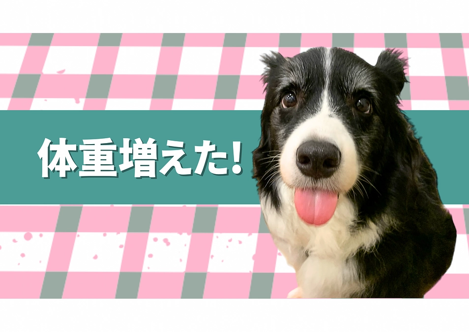 体重が増えました！