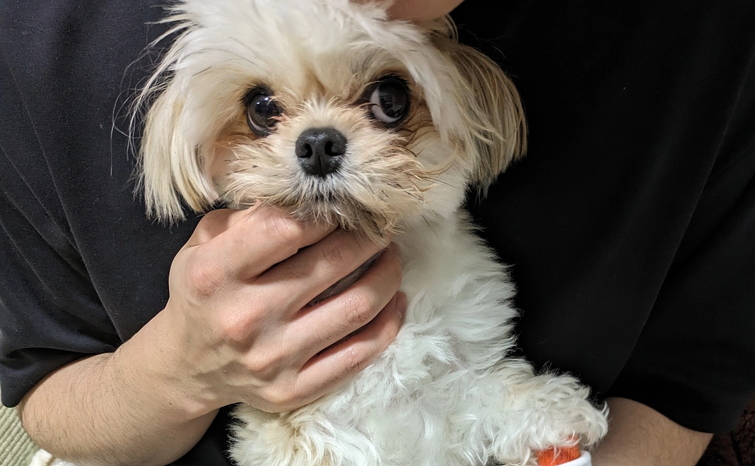 ぽんず元気になってね