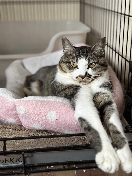 東シェルターの子達