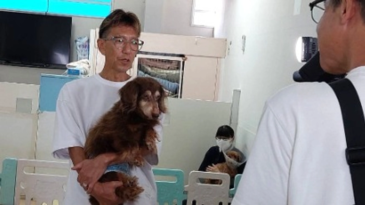 残り4週間！今日はＢＳーＴＢＳの犬番組の取材を受けました