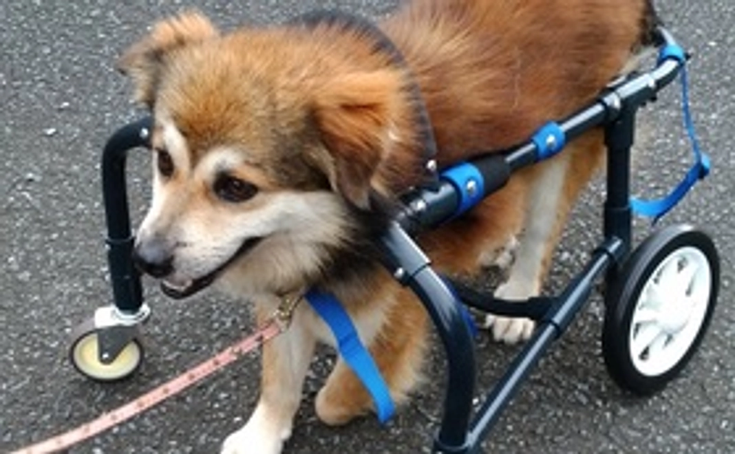 「凪」の画像付き感謝メール