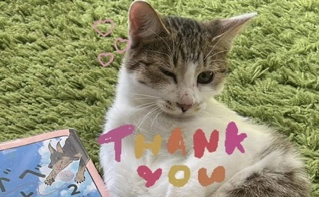 アンジュちゃん応援コース①