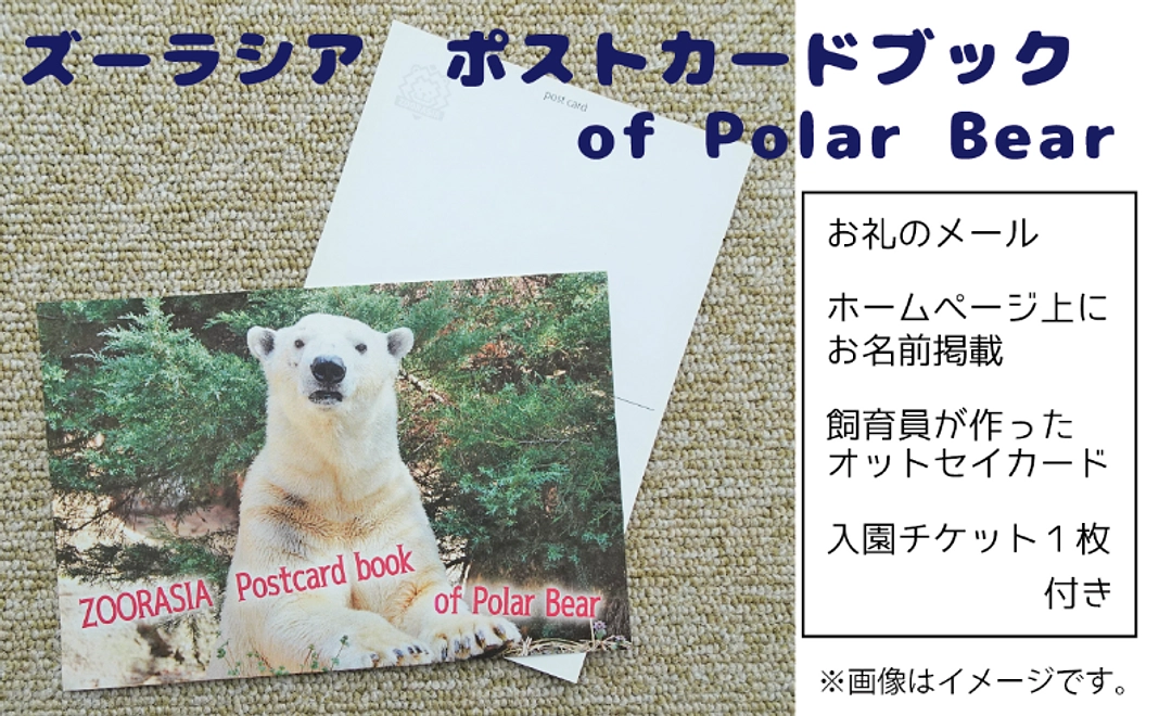 ＜6/28 NEW＞グッズ｜【CF限定】ズーラシアポストカードブック of Polar Bear