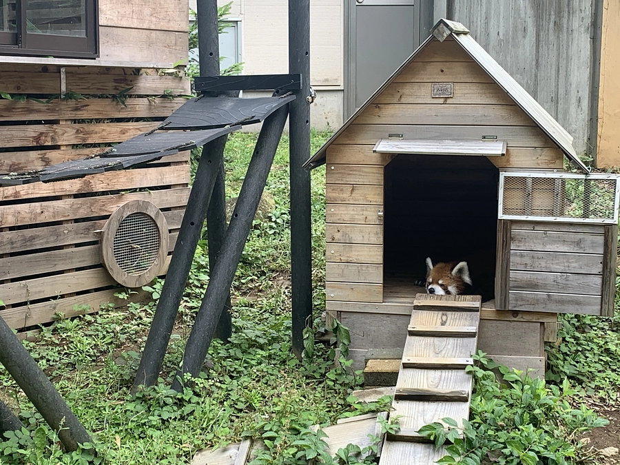 ミスト設置の現状報告です