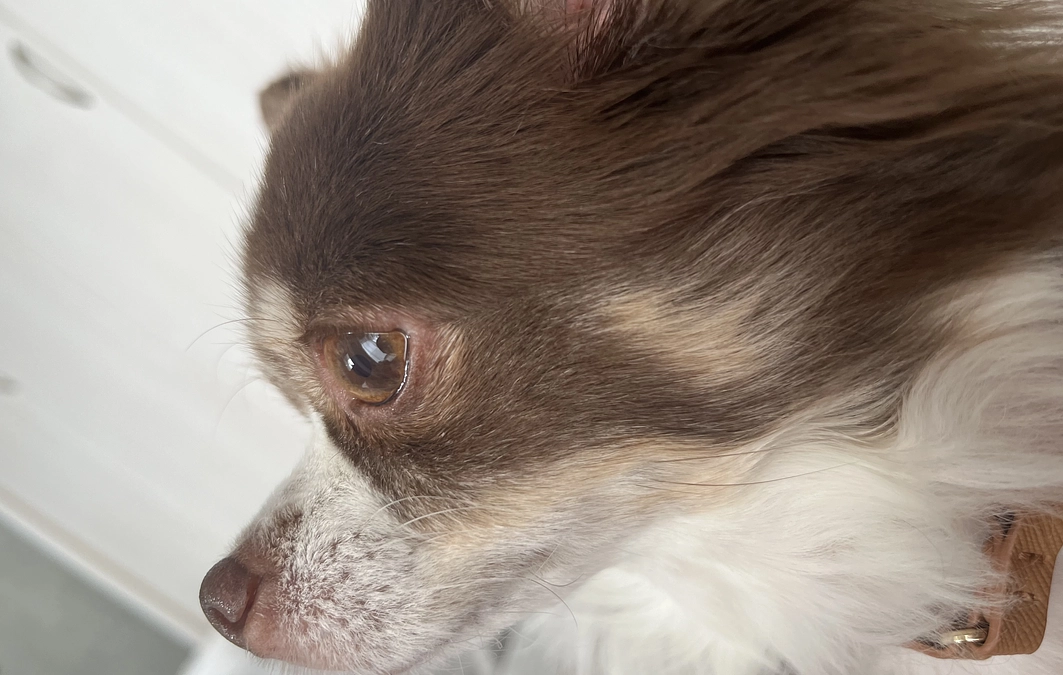 2024.01.19 残り12時間となりました💦