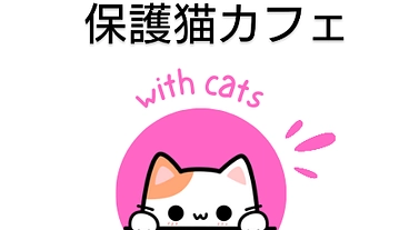 with cats 津軽の保護猫カフェ のトップ画像