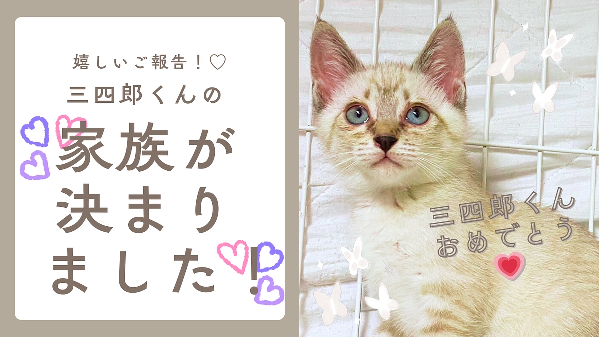 残り12日！ネクストゴールまであと52万！【三四郎くん】家族が決まりました！！！