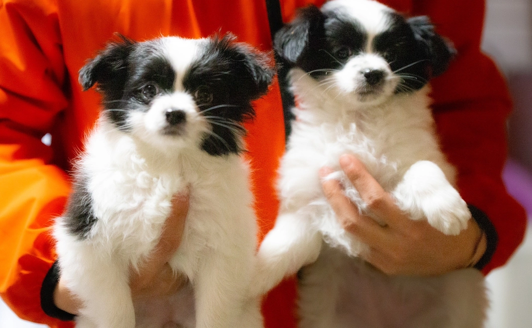 お礼のメール②