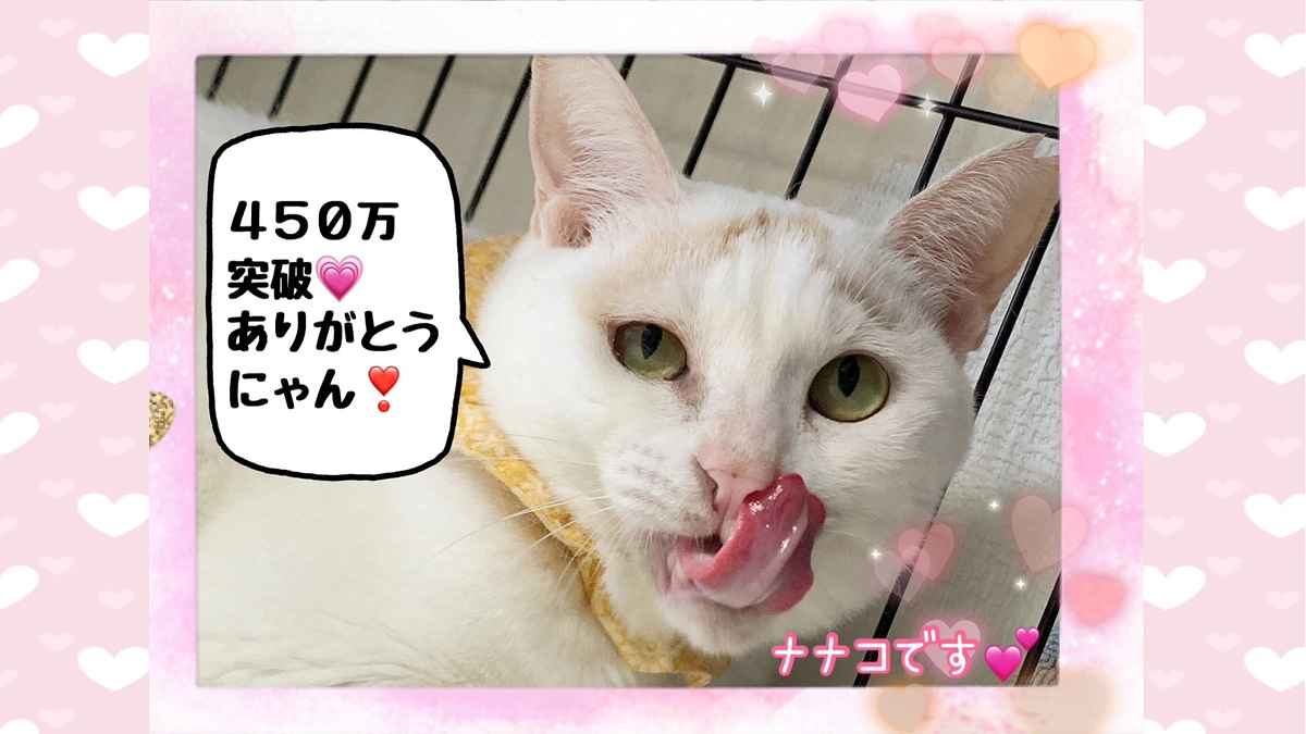 【450万達成🎉✨】