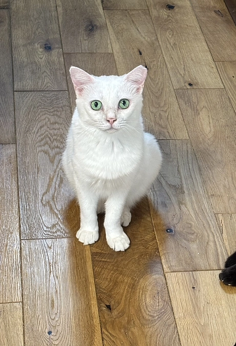 縦割り行政って