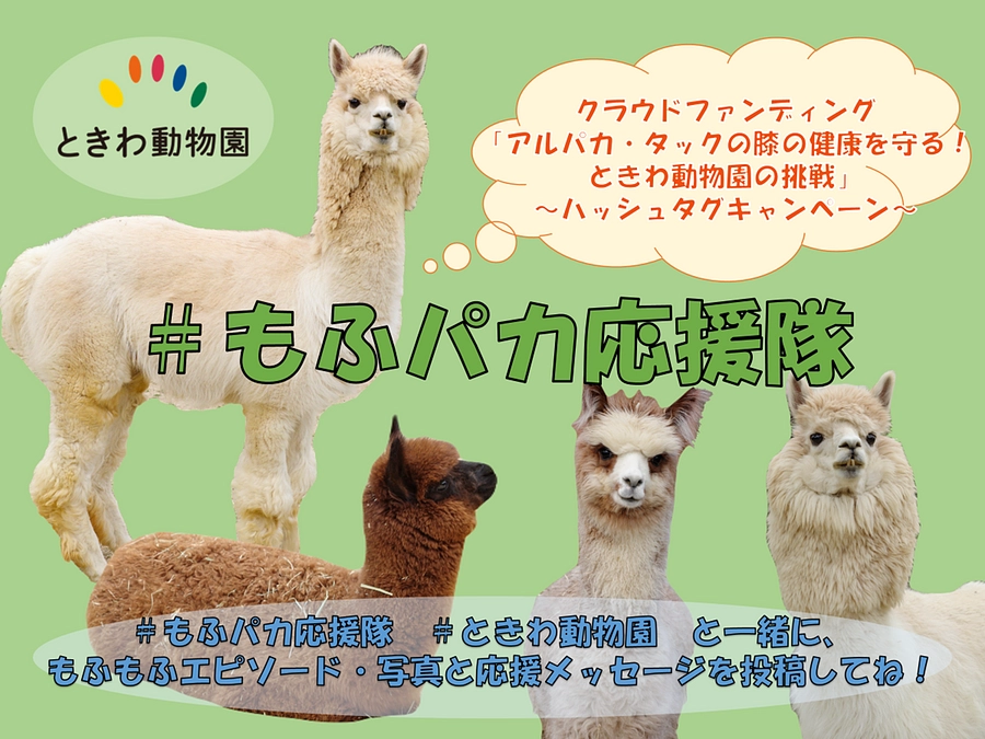 ハッシュタグキャンペーン “もふパカ応援隊“ を開催します！