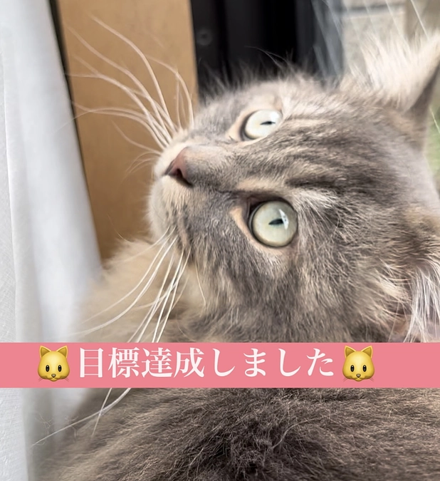 🌸目標達成しました！！🌸