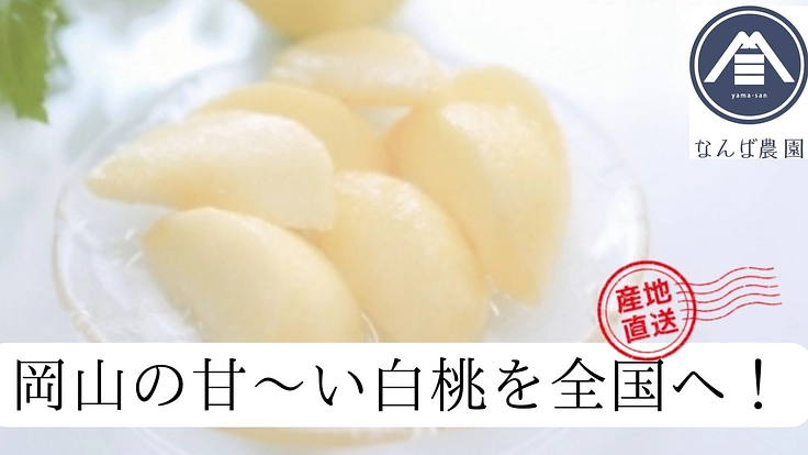 岡山の60年続く桃農家から自慢の白桃をお届け！　朝採れ当日発送！！