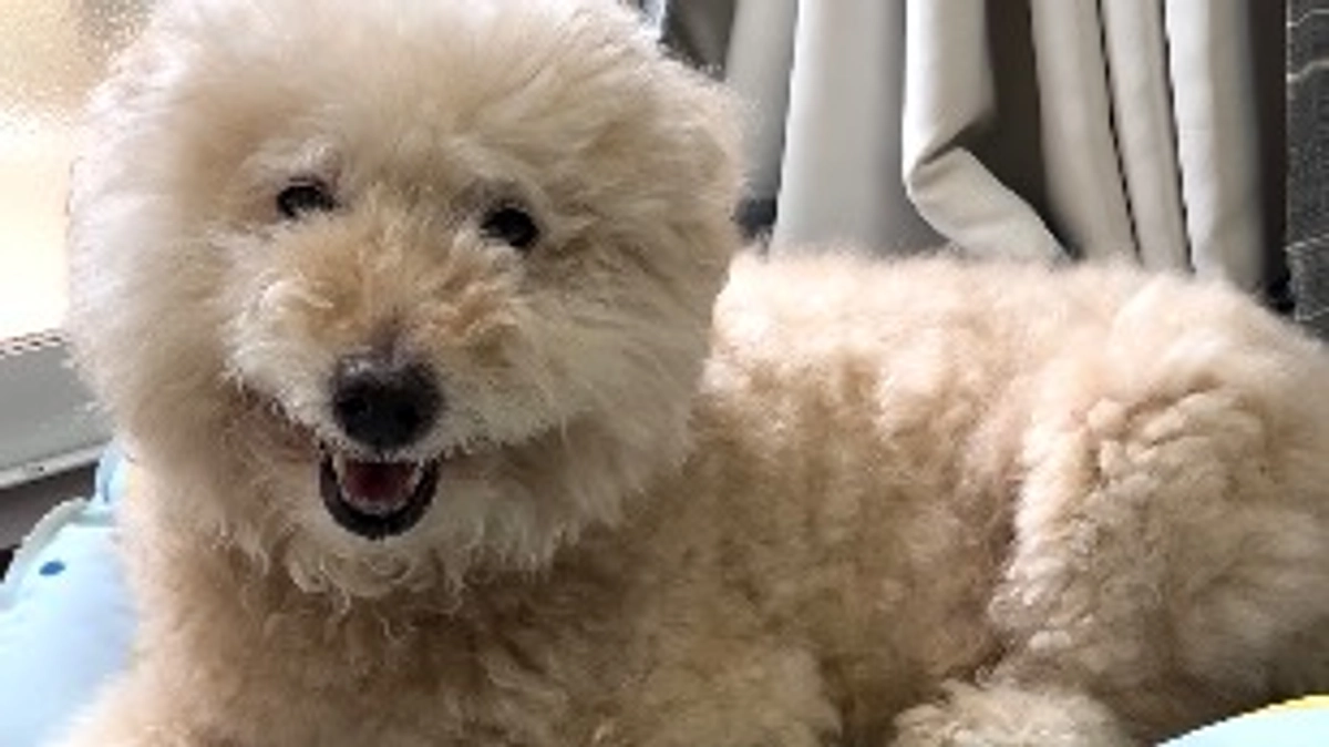 達成率12%、残り23日となりました