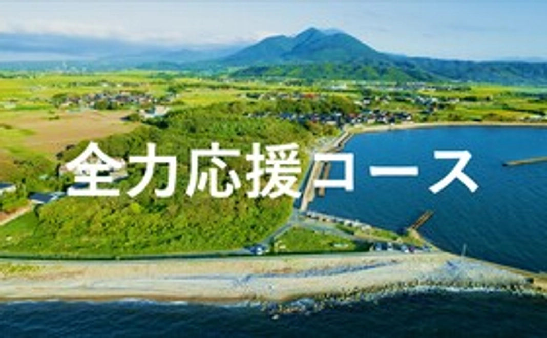 【気持ちで応援】全力応援コース