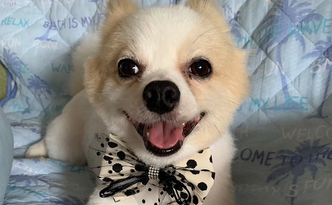 感謝のメール 10