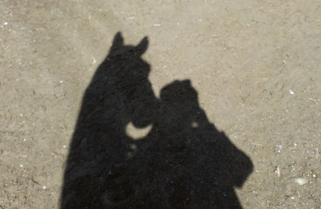 【大切なお知らせ】Horse Space 紡が届けたい想い