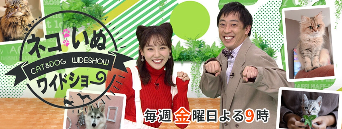 8/11（金）テレビ/BS朝日にてケンの家が紹介されます！