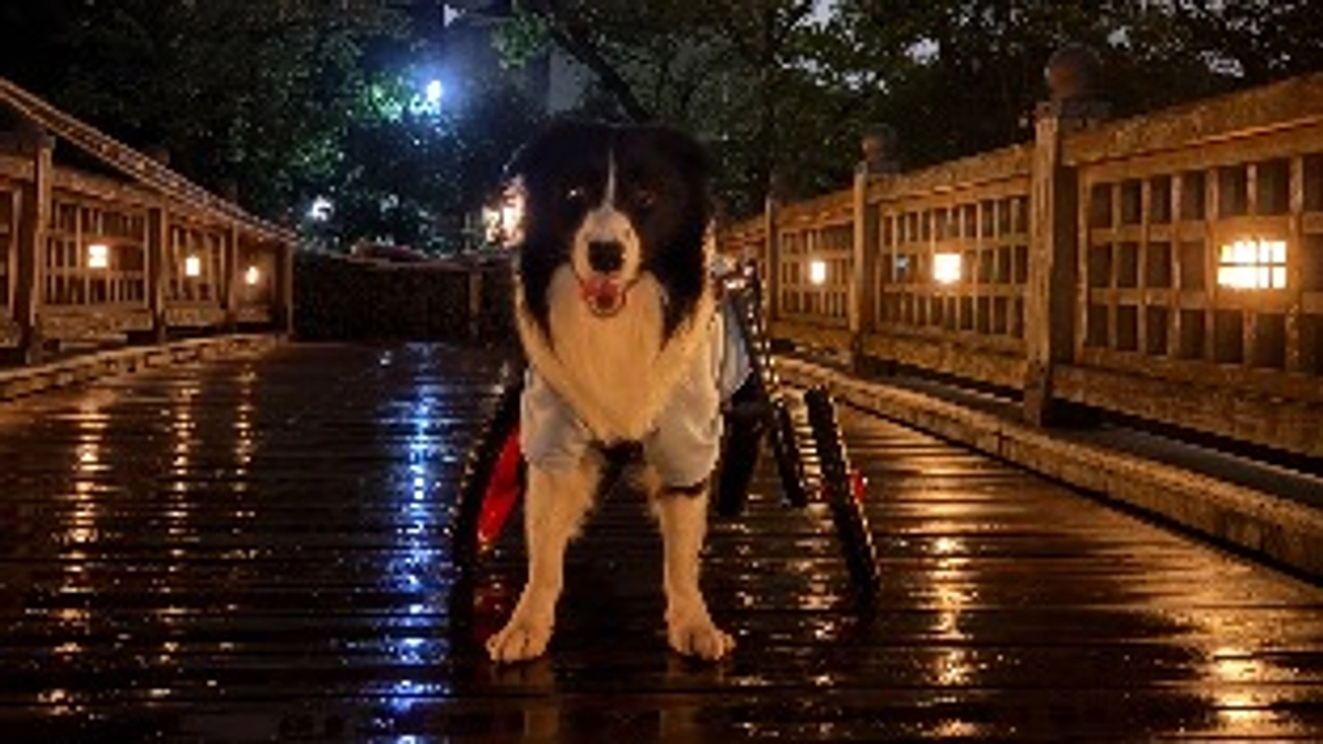 放射線治療2回目を終えて