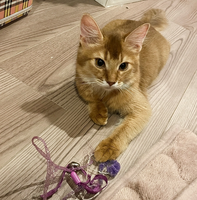 ★2023年10月15日：投薬26日目＆2回目の定期検査結果★