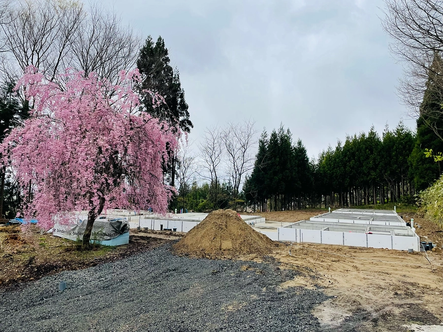 桜満開！「いつか行きたい日本の春の絶景」に選ばれた森山の遊び尽くし方＆写真集