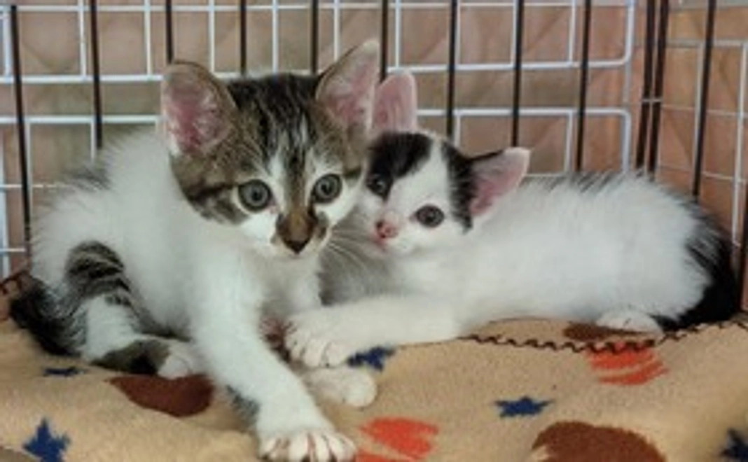 皆様の応援が集まり大きな力となります