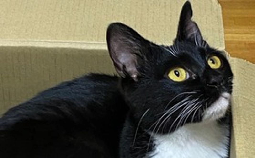 お礼のメッセージ＋画像1点