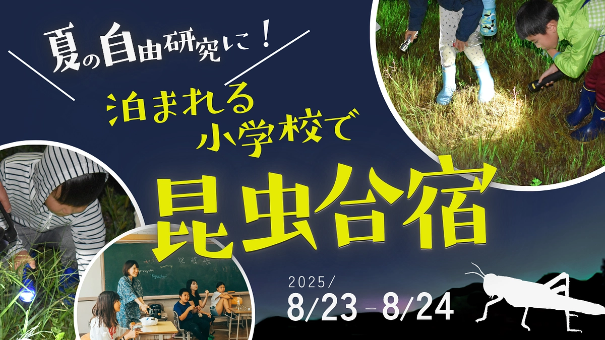 【支援者さま限定】明日で早割終了！昆虫合宿“仮予約でも早割適応 特別枠”のご案内🪲