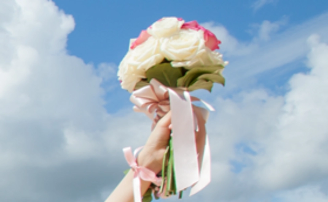 応援だけしたいという方