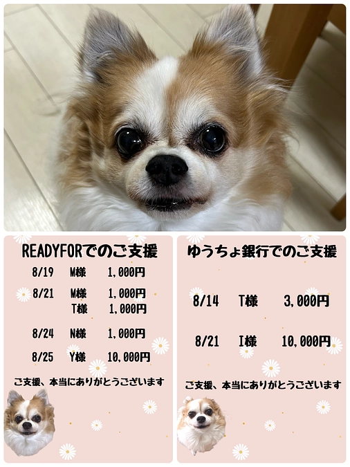 8月19日〜8月25日までのご支援