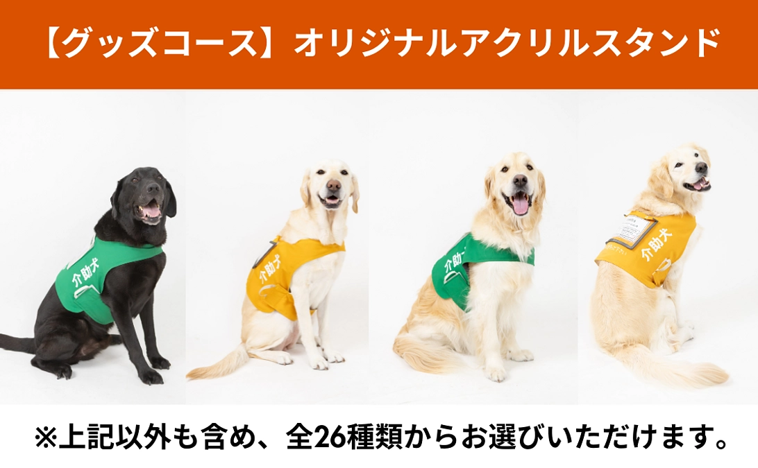 【グッズコース】介助犬を選んでつくろう！オリジナルアクリルスタンドのご紹介