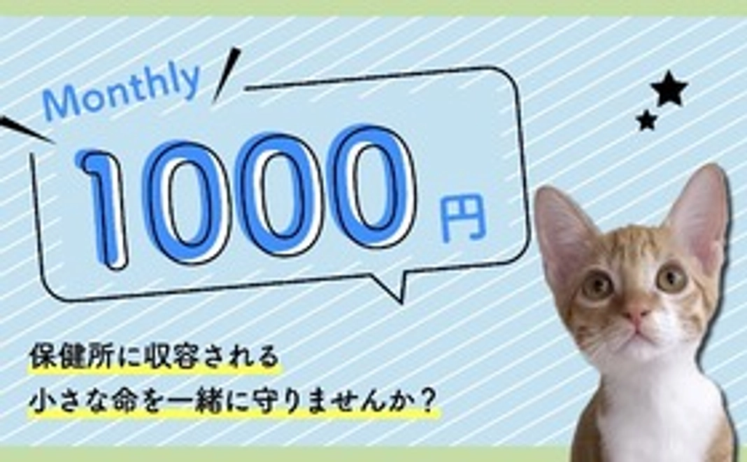 1,000円コース