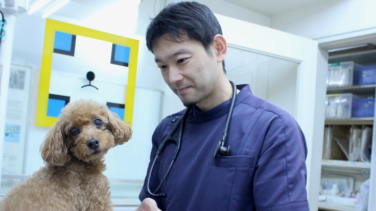 犬のワクチン接種にまつわる疑問を解消!!