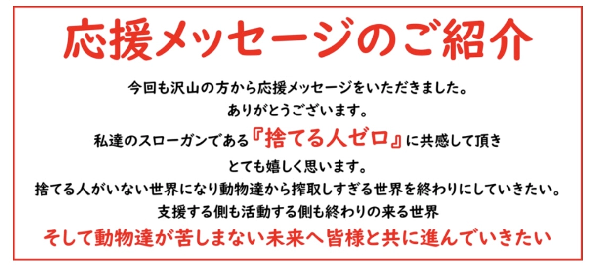 ✴︎応援メッセージ✴︎