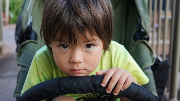 アメリカ発！自閉症療育の先生を招待し自宅で指導を受けたい