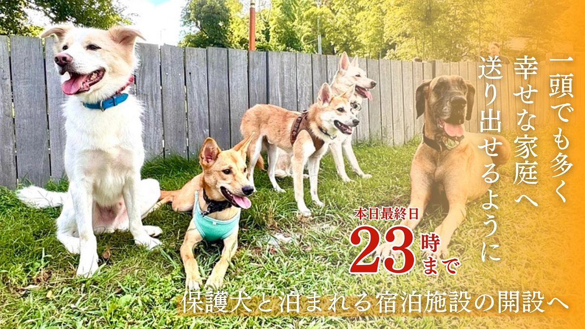 【本日最終日】ご支援は23時までです。最後までよろしくお願いします！