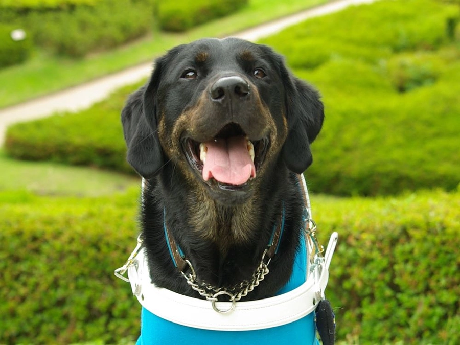 ５月１１日　30％達成いたしました！