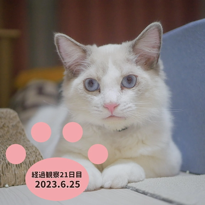 経過観察21日目(2023.6.25)