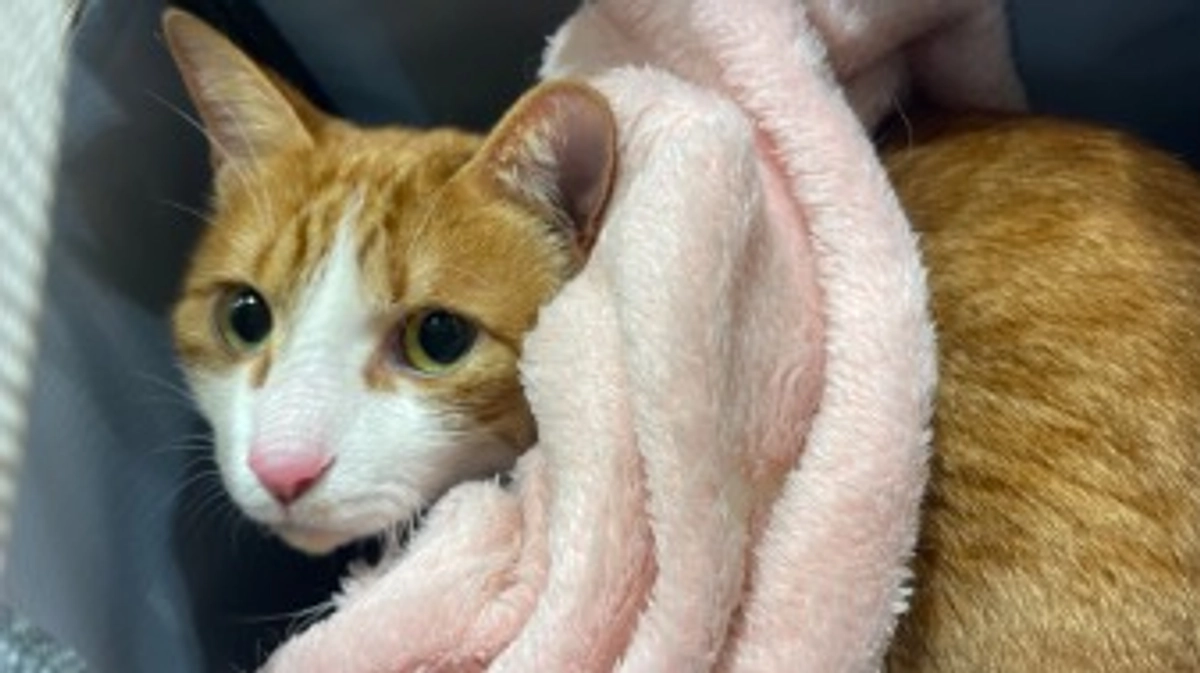 1ヶ月の定期検診に行ってきました