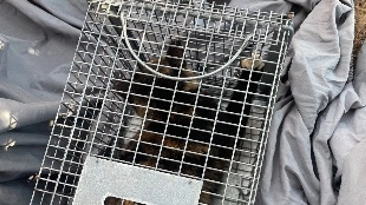 無事に帰ってきました。