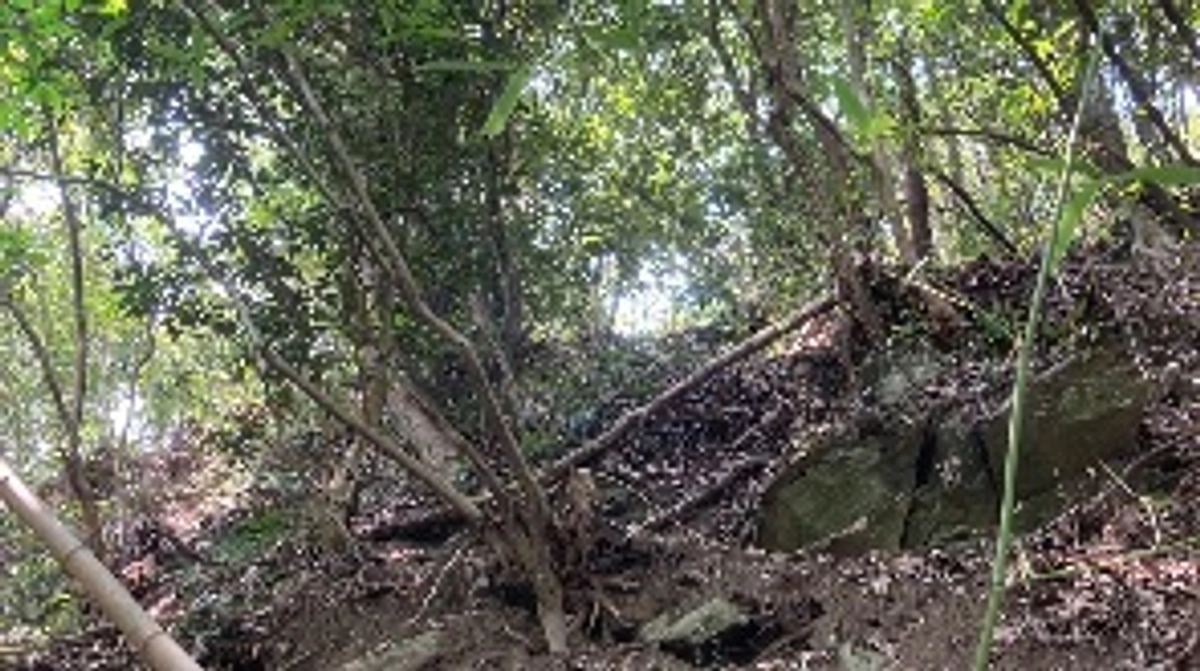 土地の引き渡し完了！