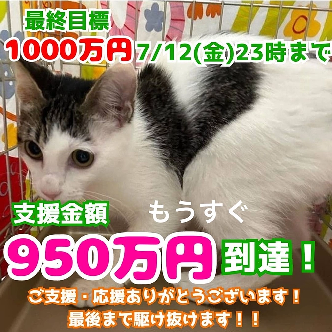 【本日最終日】長い様であっという間で楽しかったです❣️
