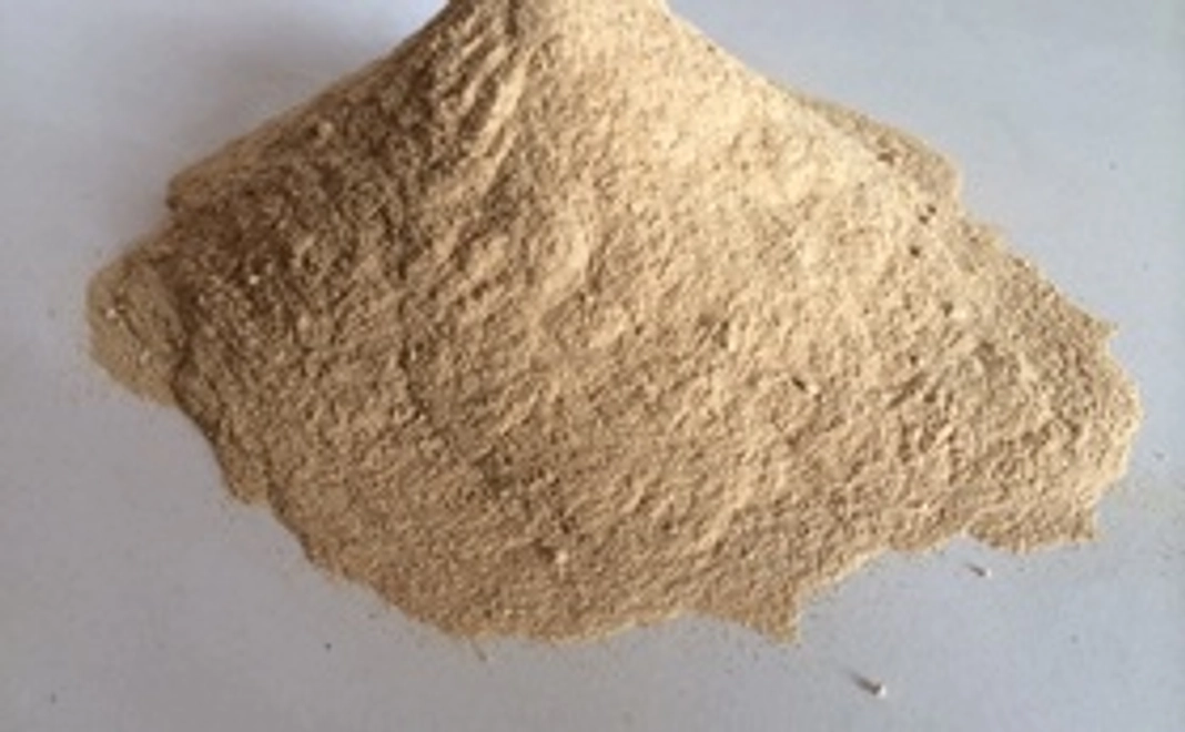 発売前　先行モニター権ウォッシュナッツ150gセット＋ウォッシュナッツ粉末タイプ