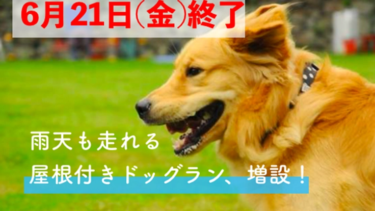 雨天でも、わんちゃんと愛犬家があそべる屋根付きドッグランを！