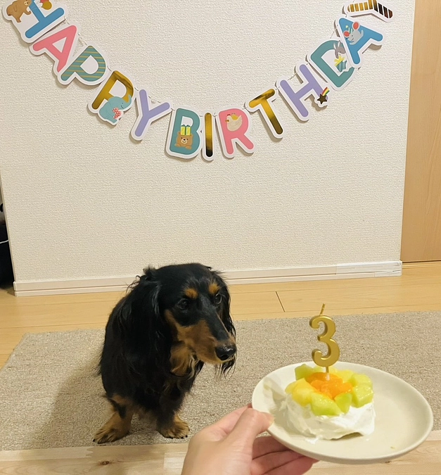 【退院後、少し遅れたお誕生日祝い】  
